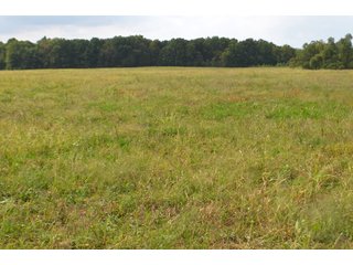 Dekalb County, Indiana Farmland - MAJOR LAND AUCTION - 516+/- ACRES OFFERED IN 18 TRACTS OR COMBINATIONS IN DEKALB COUNTY, INDIANA